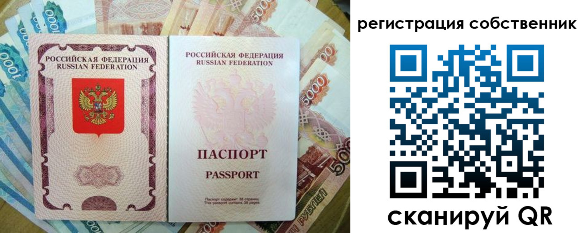 прописка гарантия в Заозёрске